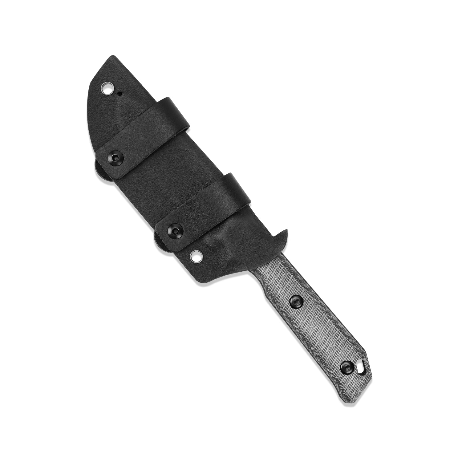 Begleiter® | D2 | Micarta | KizerV™ 1045C1 - Image 5