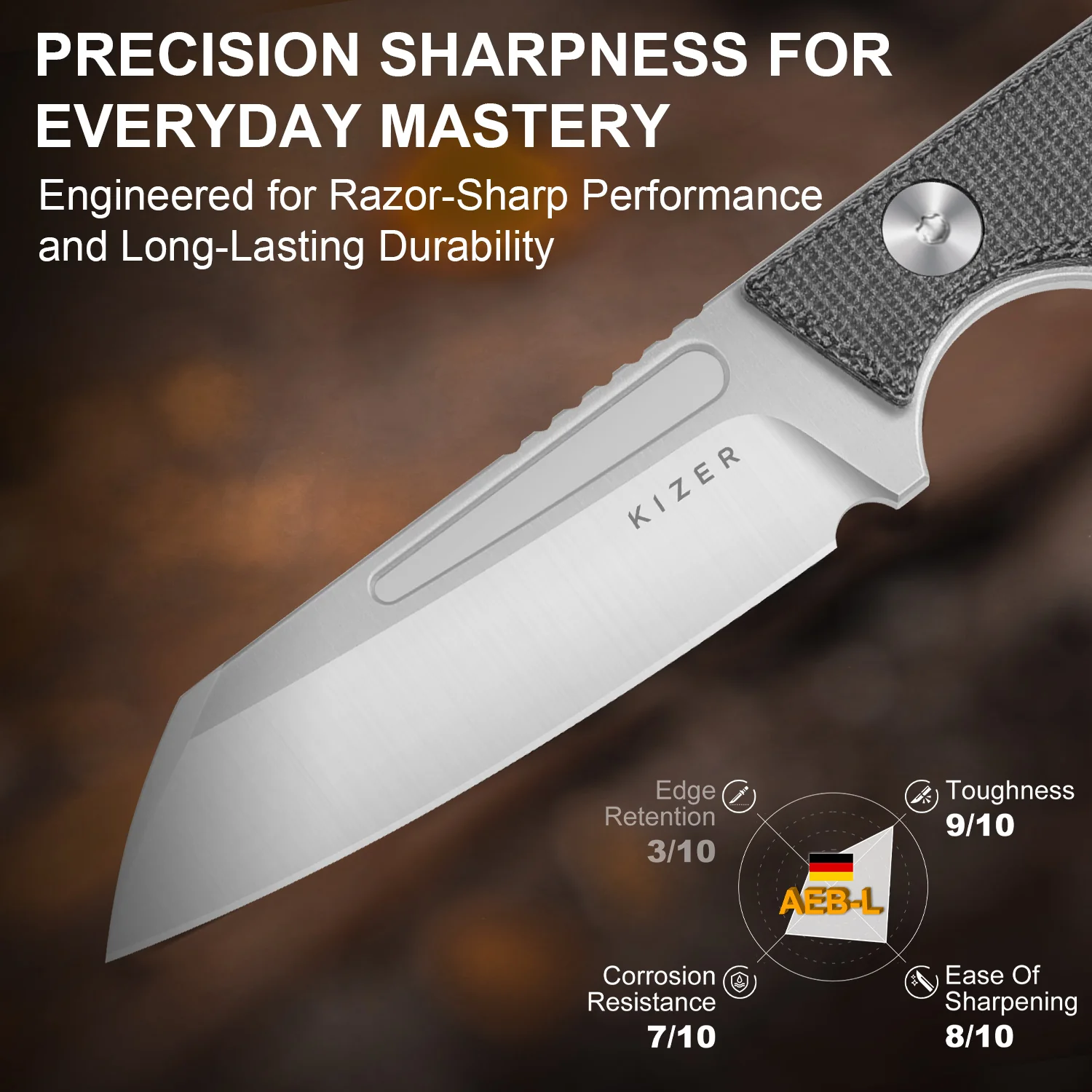 Phasmids | AEB-L | Micarta | KizerV™ 1079A3 - Image 17